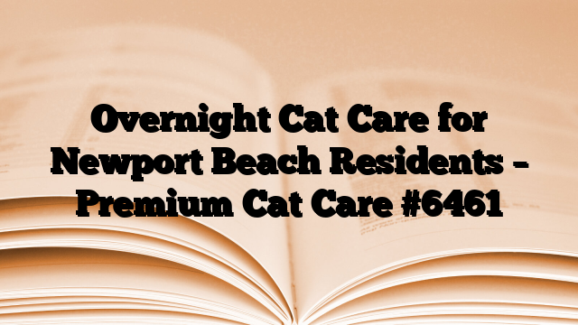 Overnight Cat Care for Newport Beach Residents – Premium Cat Care