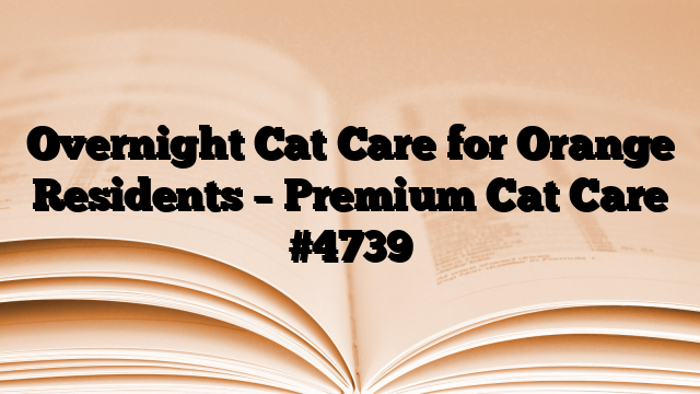 Overnight Cat Care for Orange Residents – Premium Cat Care