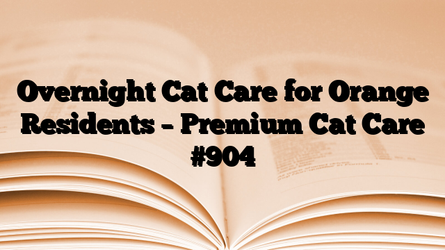 Overnight Cat Care for Orange Residents – Premium Cat Care