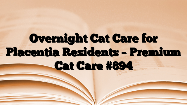 Overnight Cat Care for Placentia Residents – Premium Cat Care