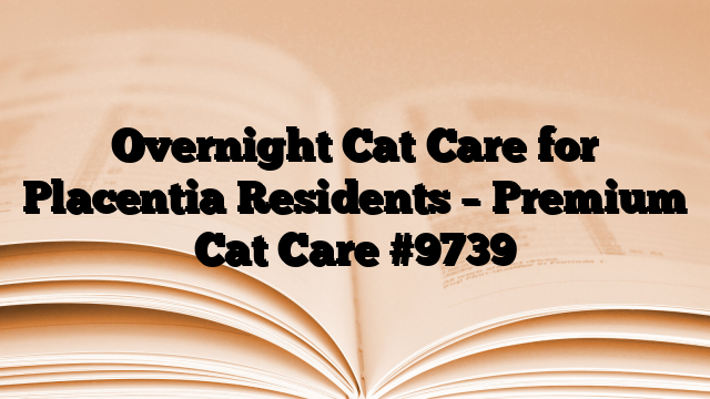 Overnight Cat Care for Placentia Residents – Premium Cat Care