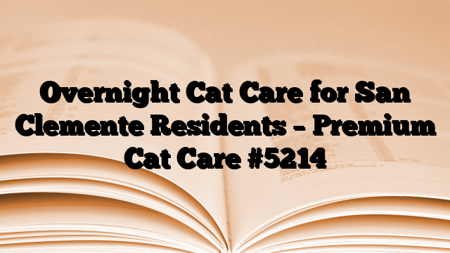 Overnight Cat Care for San Clemente Residents – Premium Cat Care