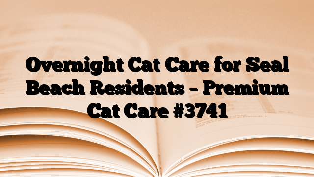 Overnight Cat Care for Seal Beach Residents – Premium Cat Care