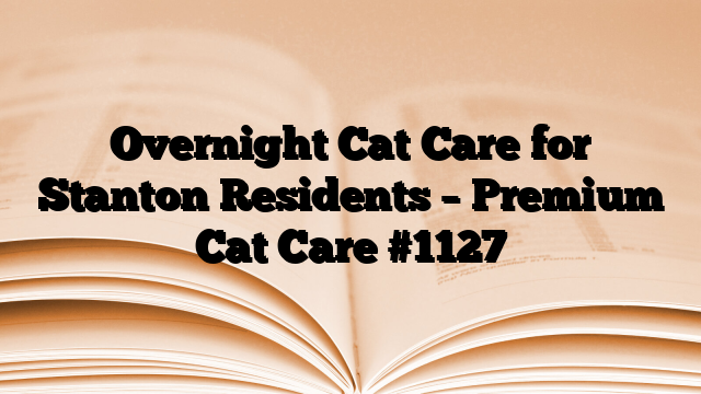 Overnight Cat Care for Stanton Residents – Premium Cat Care