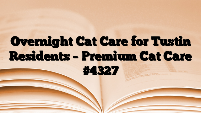 Overnight Cat Care for Tustin Residents – Premium Cat Care