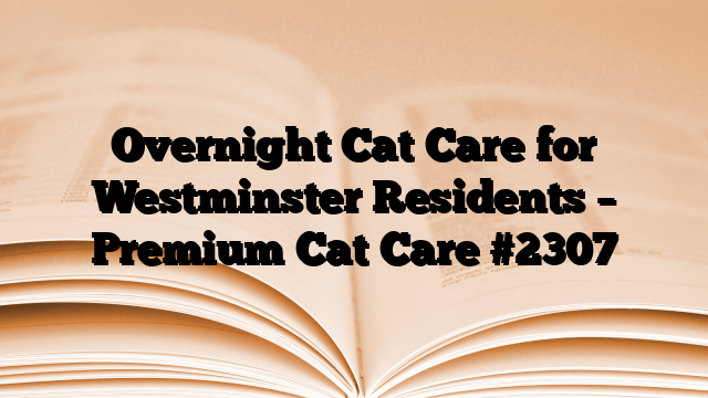 Overnight Cat Care for Westminster Residents – Premium Cat Care