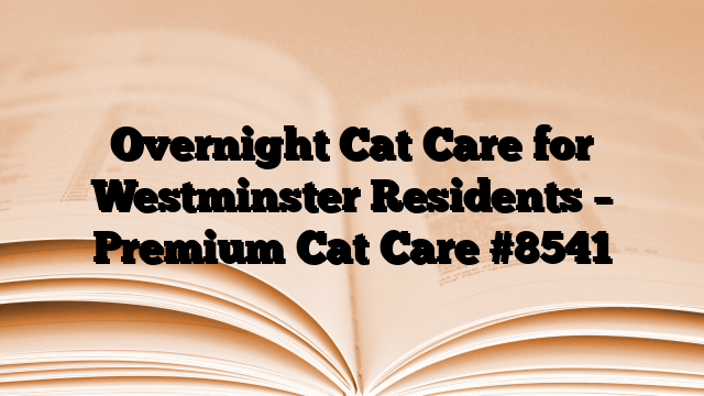 Overnight Cat Care for Westminster Residents – Premium Cat Care