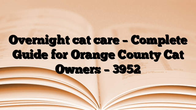 Overnight cat care – Complete Guide for Orange County Cat Owners