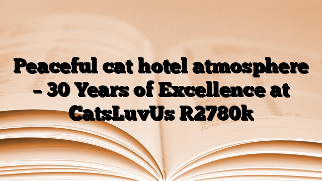 Peaceful cat hotel atmosphere – 30 Years of Excellence at CatsLuvUs