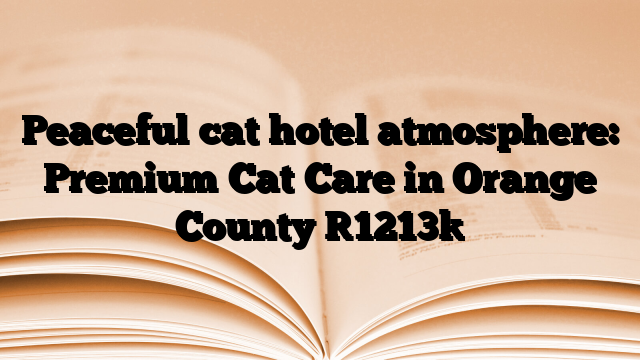 Peaceful cat hotel atmosphere: Premium Cat Care in Orange County