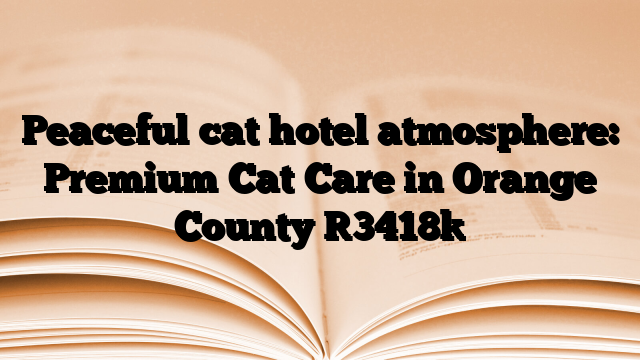 Peaceful cat hotel atmosphere: Premium Cat Care in Orange County
