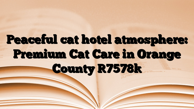 Peaceful cat hotel atmosphere: Premium Cat Care in Orange County
