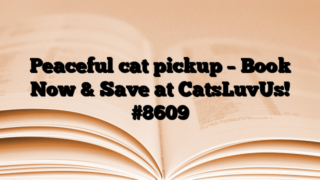 Peaceful cat pickup – Book Now & Save at CatsLuvUs!