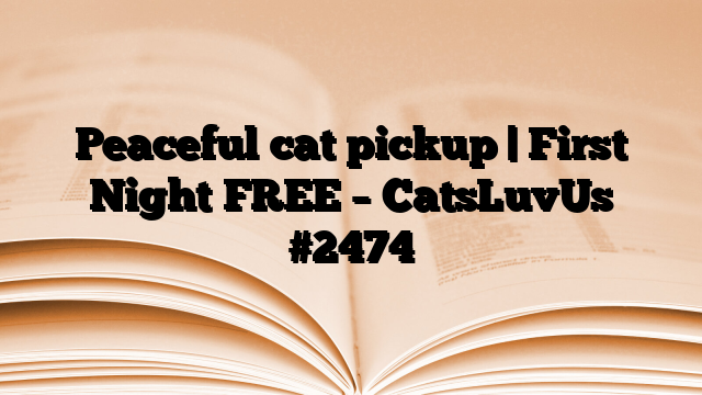 Peaceful cat pickup | First Night FREE – CatsLuvUs
