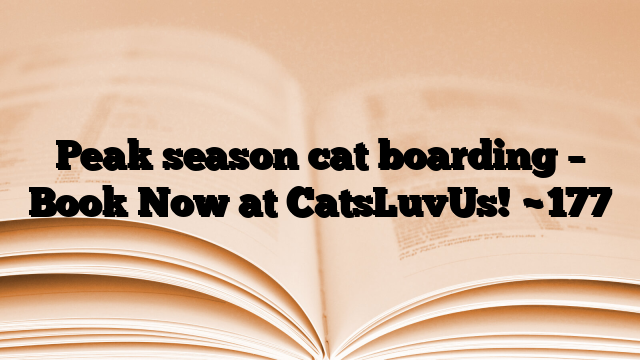 Peak season cat boarding – Book Now at CatsLuvUs!