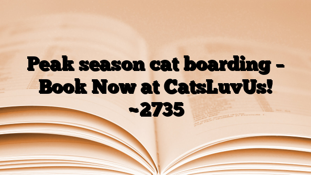 Peak season cat boarding – Book Now at CatsLuvUs!