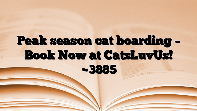 Peak season cat boarding – Book Now at CatsLuvUs!