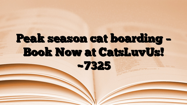 Peak season cat boarding – Book Now at CatsLuvUs!