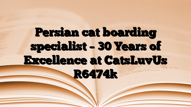 Persian cat boarding specialist – 30 Years of Excellence at CatsLuvUs