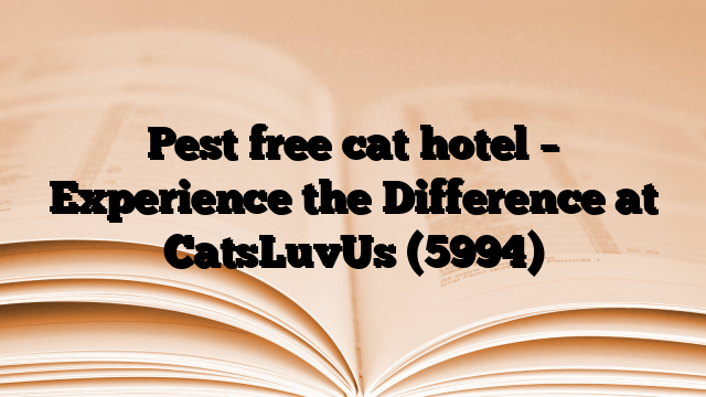 Pest free cat hotel – Experience the Difference at CatsLuvUs