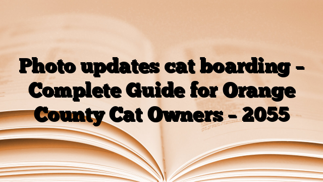 Photo updates cat boarding – Complete Guide for Orange County Cat Owners