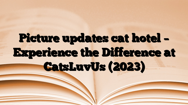 Picture updates cat hotel – Experience the Difference at CatsLuvUs