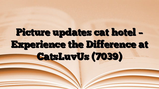 Picture updates cat hotel – Experience the Difference at CatsLuvUs