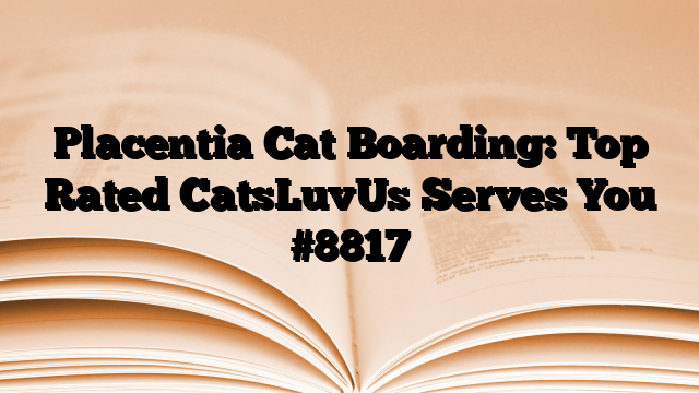 Placentia Cat Boarding: Top Rated CatsLuvUs Serves You