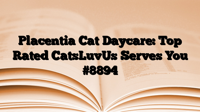 Placentia Cat Daycare: Top Rated CatsLuvUs Serves You