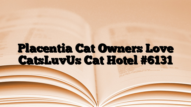 Placentia Cat Owners Love CatsLuvUs Cat Hotel