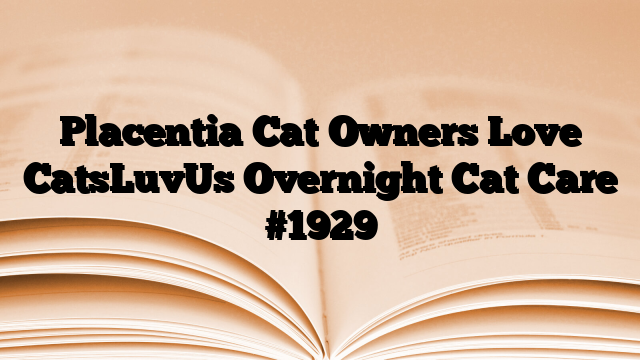 Placentia Cat Owners Love CatsLuvUs Overnight Cat Care