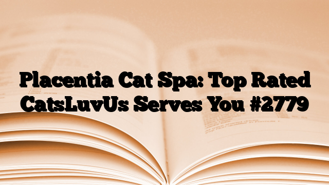 Placentia Cat Spa: Top Rated CatsLuvUs Serves You