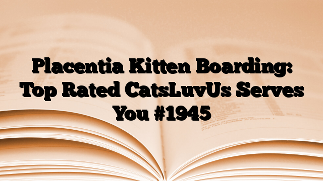 Placentia Kitten Boarding: Top Rated CatsLuvUs Serves You