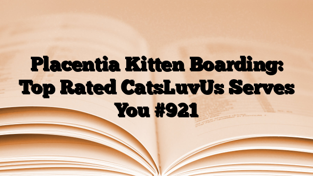 Placentia Kitten Boarding: Top Rated CatsLuvUs Serves You