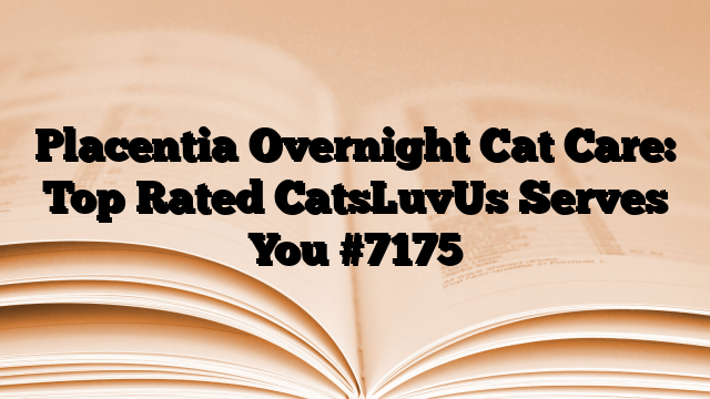Placentia Overnight Cat Care: Top Rated CatsLuvUs Serves You