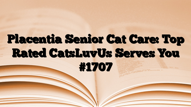 Placentia Senior Cat Care: Top Rated CatsLuvUs Serves You