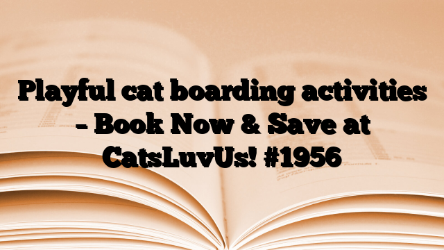 Playful cat boarding activities – Book Now & Save at CatsLuvUs!