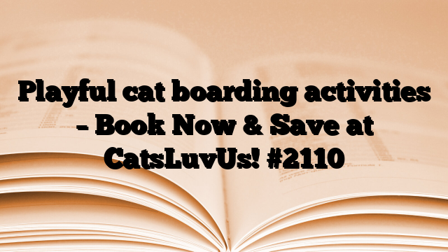 Playful cat boarding activities – Book Now & Save at CatsLuvUs!