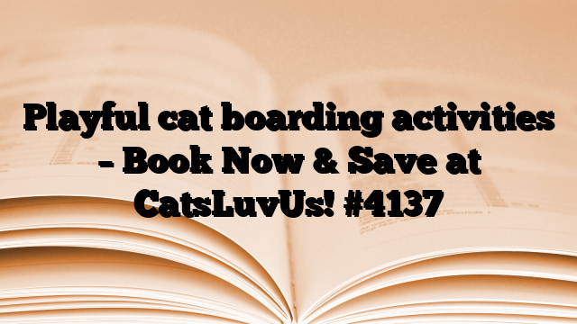 Playful cat boarding activities – Book Now & Save at CatsLuvUs!