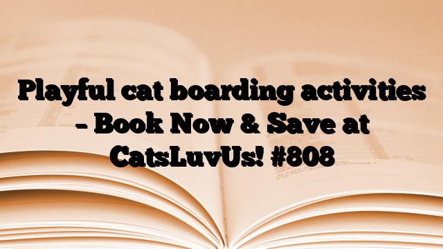 Playful cat boarding activities – Book Now & Save at CatsLuvUs!