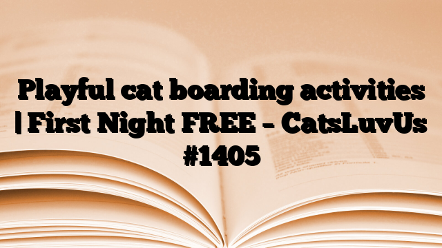 Playful cat boarding activities | First Night FREE – CatsLuvUs