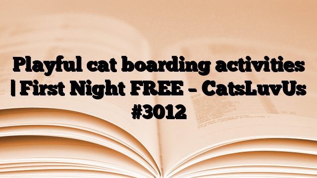 Playful cat boarding activities | First Night FREE – CatsLuvUs