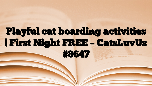 Playful cat boarding activities | First Night FREE – CatsLuvUs