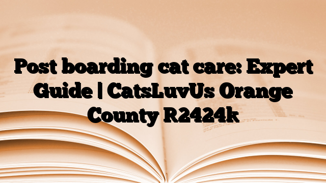 Post boarding cat care: Expert Guide | CatsLuvUs Orange County