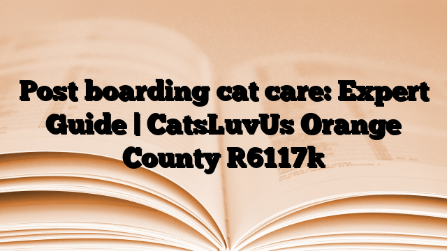 Post boarding cat care: Expert Guide | CatsLuvUs Orange County