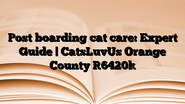 Post boarding cat care: Expert Guide | CatsLuvUs Orange County