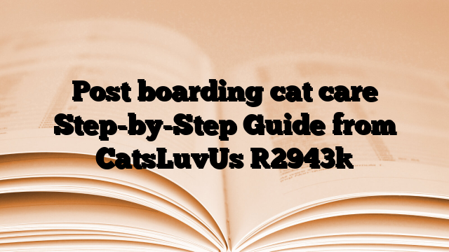 Post boarding cat care Step-by-Step Guide from CatsLuvUs