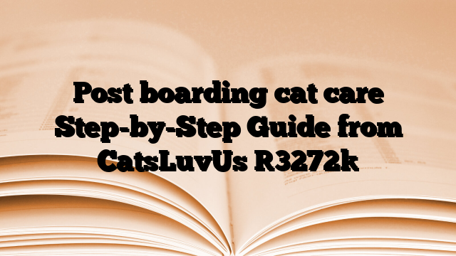 Post boarding cat care Step-by-Step Guide from CatsLuvUs