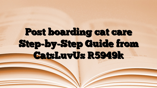 Post boarding cat care Step-by-Step Guide from CatsLuvUs