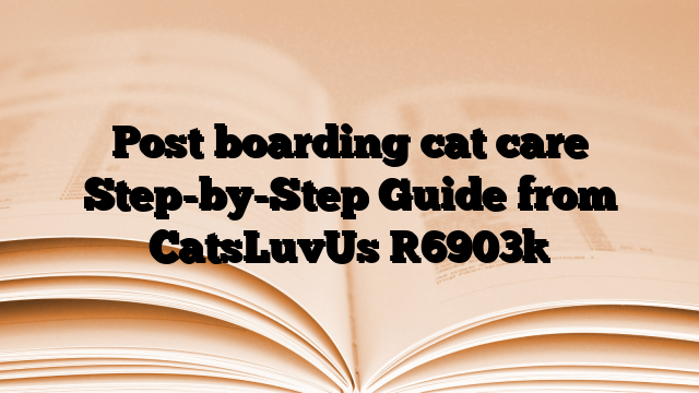 Post boarding cat care Step-by-Step Guide from CatsLuvUs